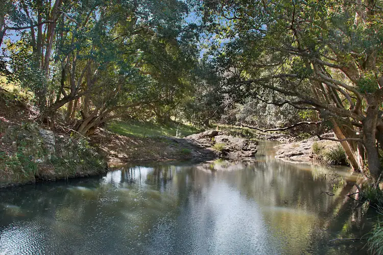 Second view of Homely rural property listing, 679 Urliup Road, Urliup NSW 2484