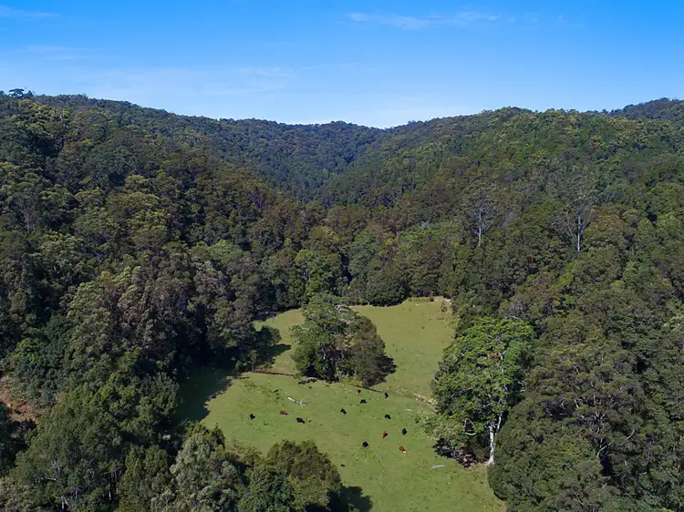 Fifth view of Homely rural property listing, 679 Urliup Road, Urliup NSW 2484