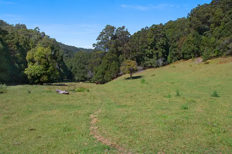 Sixth view of Homely rural property listing, 679 Urliup Road, Urliup NSW 2484