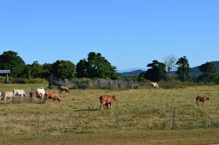 Fifth view of Homely land listing, Lot 106 Rise Crescent, Mission Beach QLD 4852