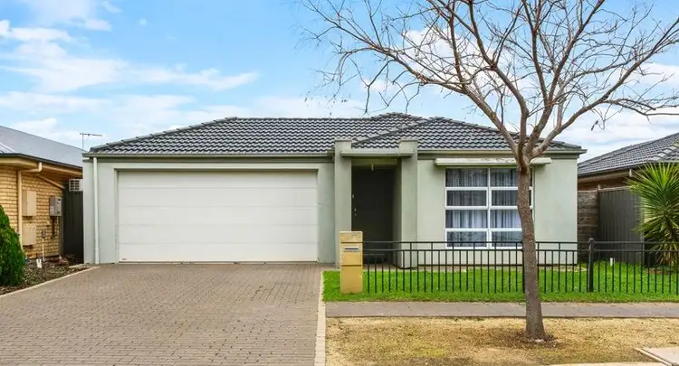61 Riesling Crescent, Andrews Farm SA 5114