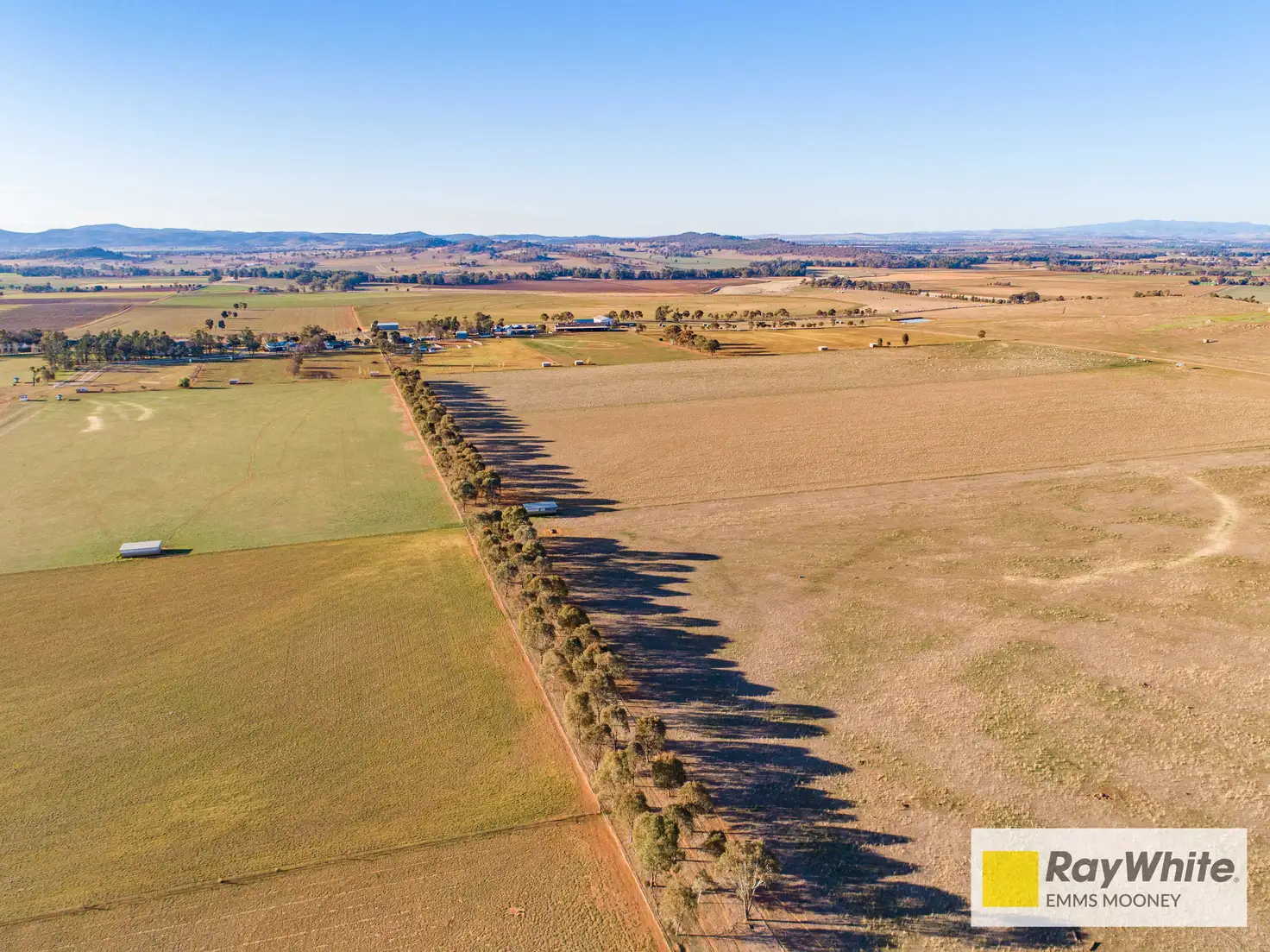 Main view of Homely rural property listing, 1203 Rivers Road, Canowindra NSW 2804