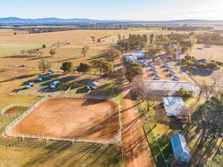 Second view of Homely rural property listing, 1203 Rivers Road, Canowindra NSW 2804