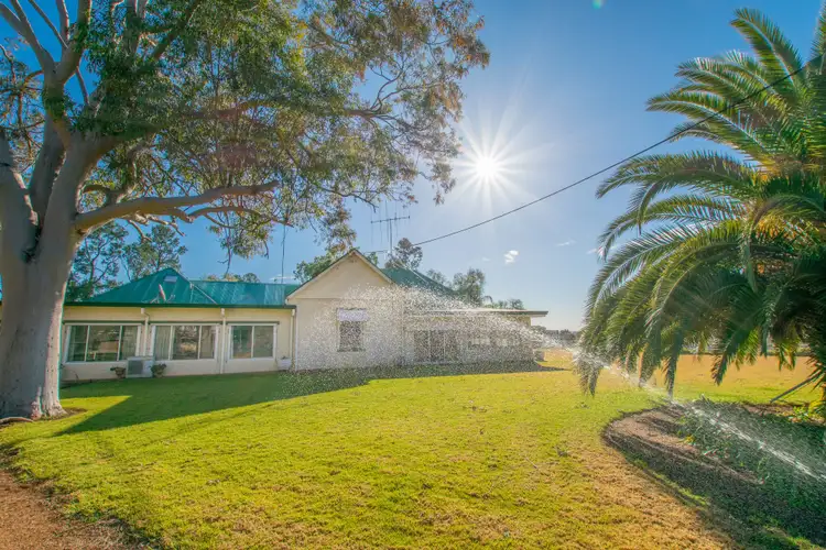 Fourth view of Homely rural property listing, 1203 Rivers Road, Canowindra NSW 2804