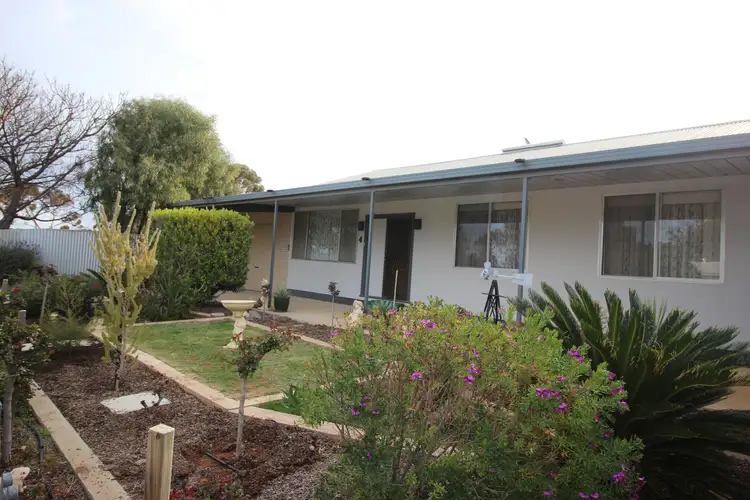 4 Gouge Street, Morgan SA 5320