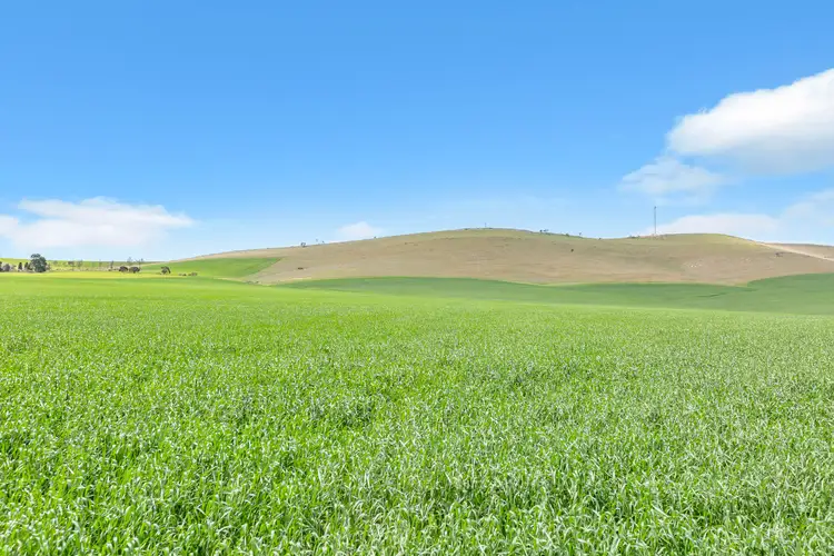 Mt Watts Bowmans Road, Gulnare SA 5471