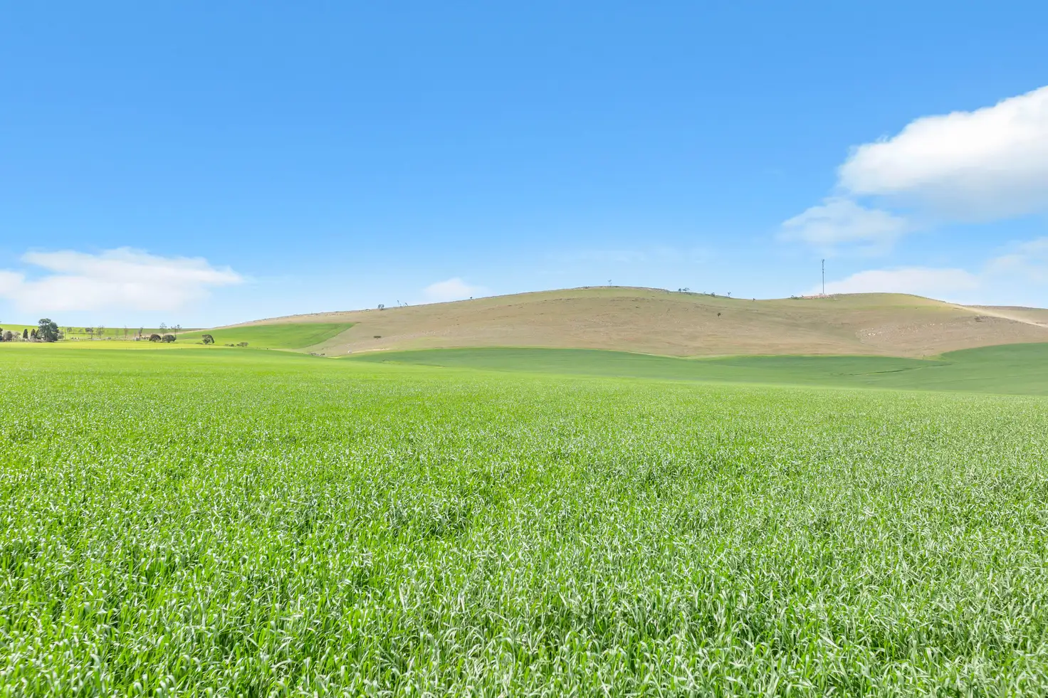 Main view of Homely rural property listing, Mt Watts Bowmans Road, Gulnare SA 5471