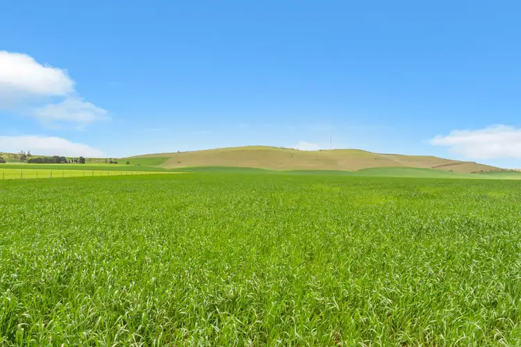 Second view of Homely rural property listing, Mt Watts Bowmans Road, Gulnare SA 5471