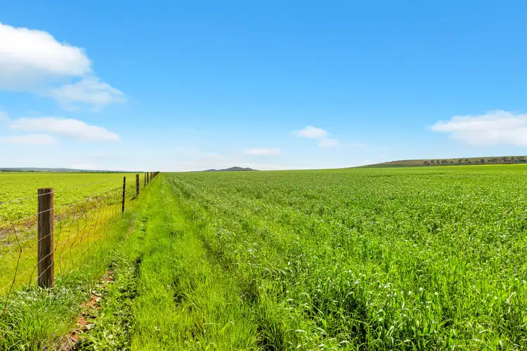 Third view of Homely rural property listing, Mt Watts Bowmans Road, Gulnare SA 5471