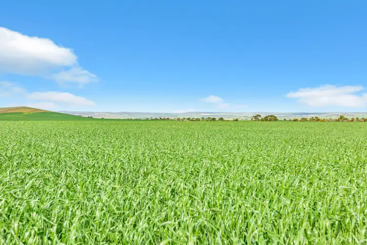 Fourth view of Homely rural property listing, Mt Watts Bowmans Road, Gulnare SA 5471