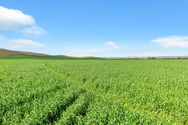 Fifth view of Homely rural property listing, Mt Watts Bowmans Road, Gulnare SA 5471