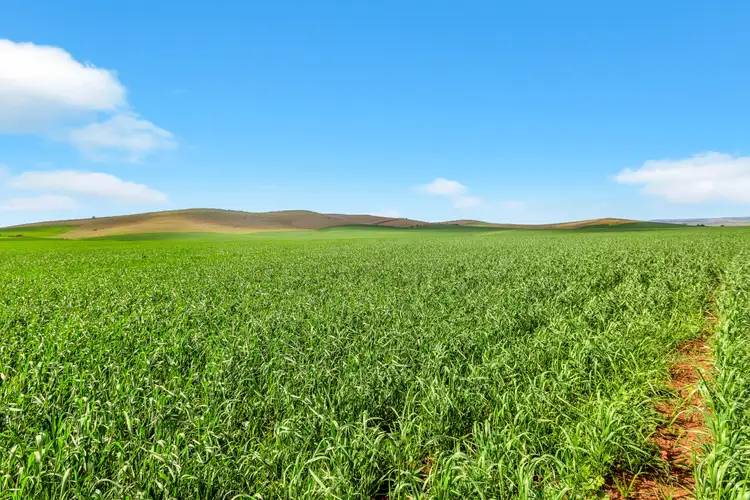 Sixth view of Homely rural property listing, Mt Watts Bowmans Road, Gulnare SA 5471