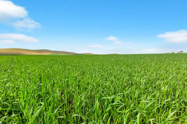 Seventh view of Homely rural property listing, Mt Watts Bowmans Road, Gulnare SA 5471