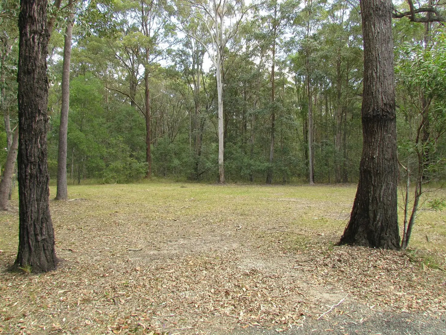 Main view of Homely land listing, Lot 201 Emu Drive, Woombah NSW 2469
