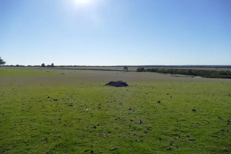 Fifth view of Homely rural property listing, Twin Rivers Farm, 1960 Wannamal Road West, Gingin WA 6503