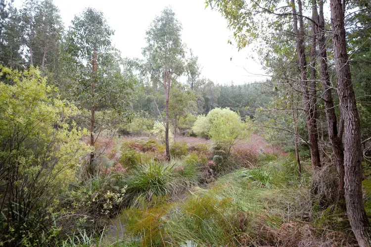 Seventh view of Homely rural property listing, Address available on request
