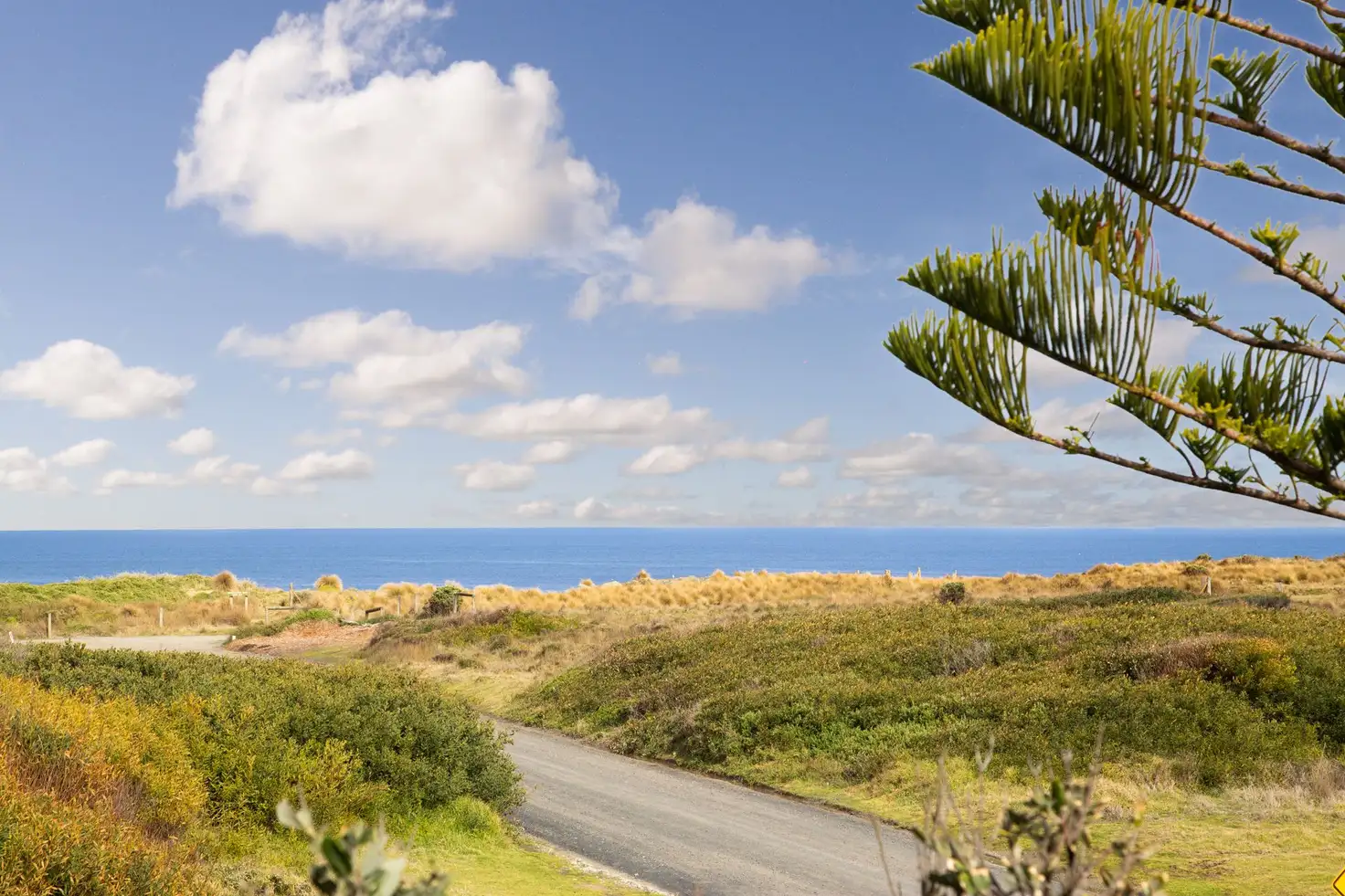 Main view of Homely house listing, 115 Lantana Road, Cape Woolamai VIC 3925