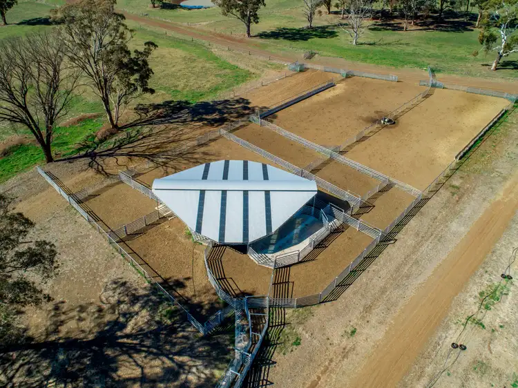 Sixth view of Homely rural property listing, 1075 Tenterden Road, Guyra NSW 2365