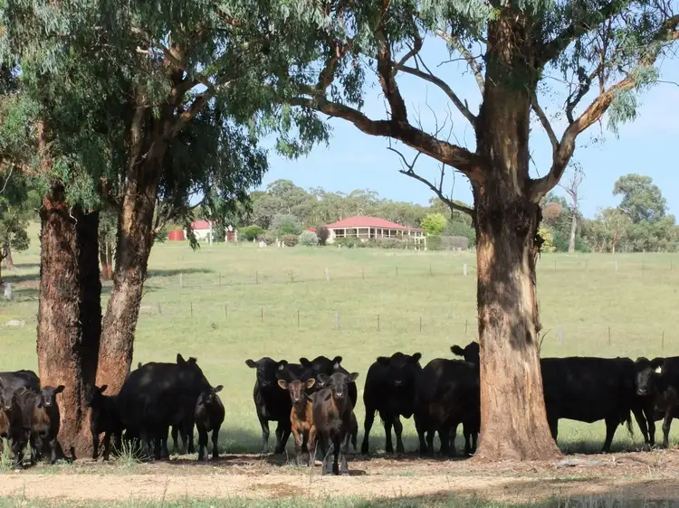 2044 Lagoon Road, Bathurst NSW 2795