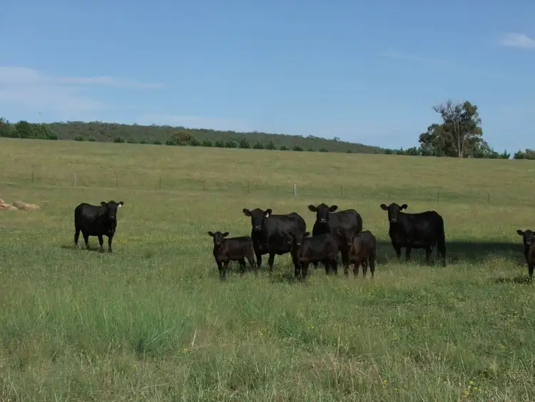 Fourth view of Homely rural property listing, 2044 Lagoon Road, Bathurst NSW 2795