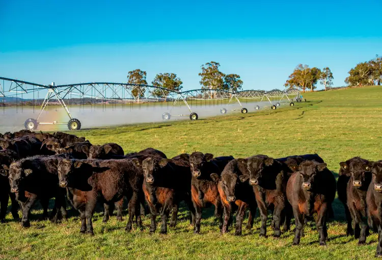 1075 Tenterden Road, Guyra NSW 2365