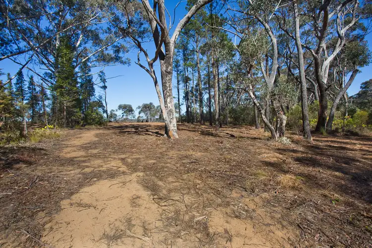 Second view of Homely land listing, 195 Evans Lookout Road, Blackheath NSW 2785