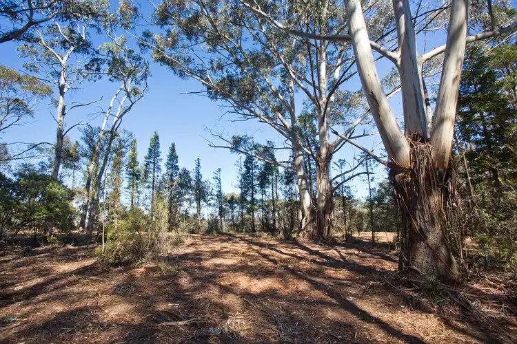 Fourth view of Homely land listing, 195 Evans Lookout Road, Blackheath NSW 2785