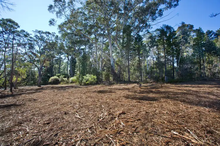 Fifth view of Homely land listing, 195 Evans Lookout Road, Blackheath NSW 2785
