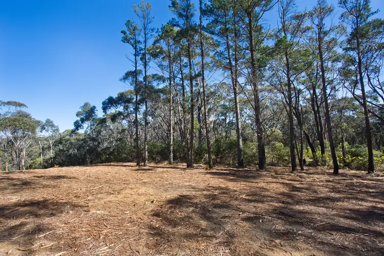 Sixth view of Homely land listing, 195 Evans Lookout Road, Blackheath NSW 2785