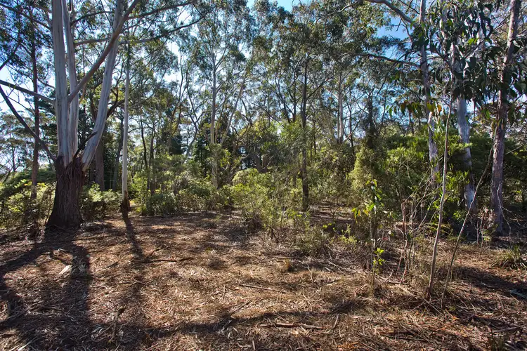 Seventh view of Homely land listing, 195 Evans Lookout Road, Blackheath NSW 2785