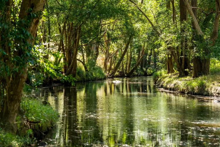 Sixth view of Homely rural property listing, Address available on request