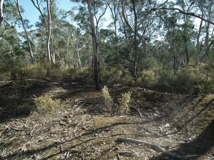 Fifth view of Homely rural property listing, 50 Corbett Street, Graytown VIC 3608