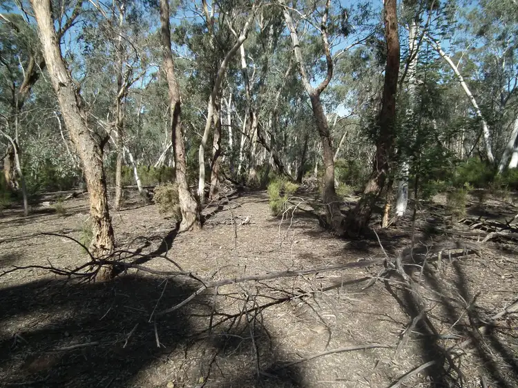 Sixth view of Homely rural property listing, 50 Corbett Street, Graytown VIC 3608