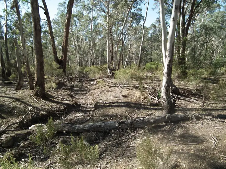 Seventh view of Homely rural property listing, 50 Corbett Street, Graytown VIC 3608