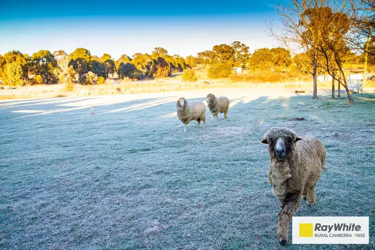 Third view of Homely house listing, 18 Vallance Drive, Murrumbateman NSW 2582