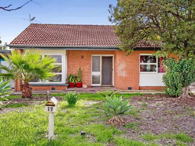 19 Willochra Street, Largs North SA 5016