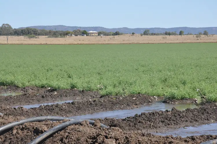 Main view of Homely rural property listing, 134 Austins Road, Theodore QLD 4719