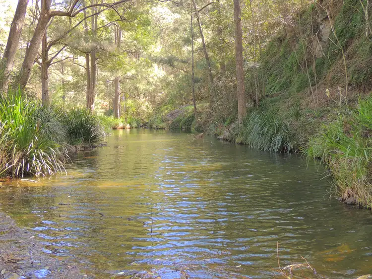 Main view of Homely rural property listing, 419 Bakers Creek Road, Gloucester NSW 2422