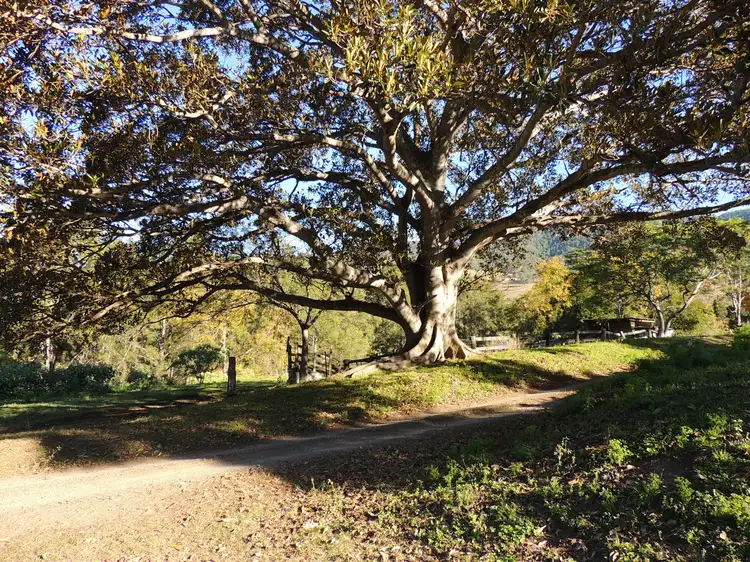 362 Cundle Flat Road, Gloucester NSW 2422