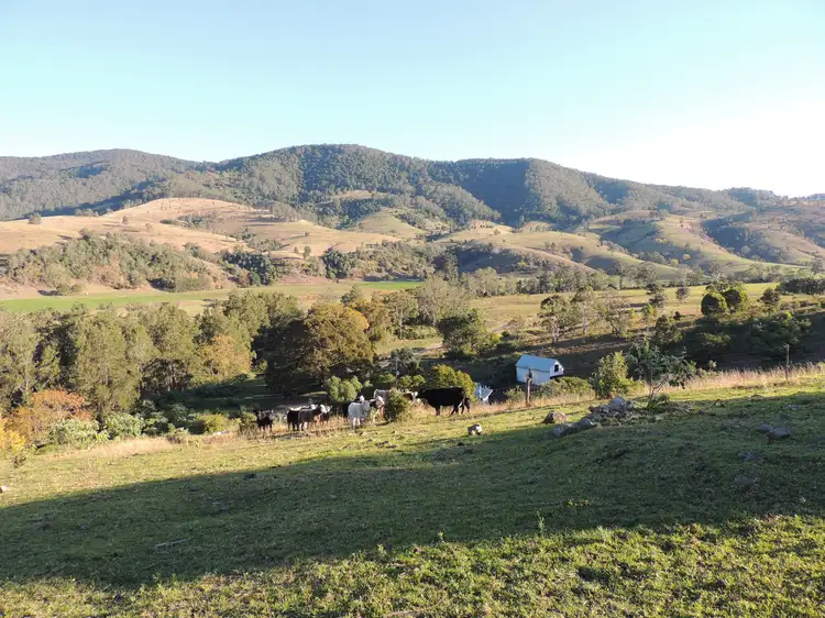 Third view of Homely rural property listing, 362 Cundle Flat Road, Gloucester NSW 2422