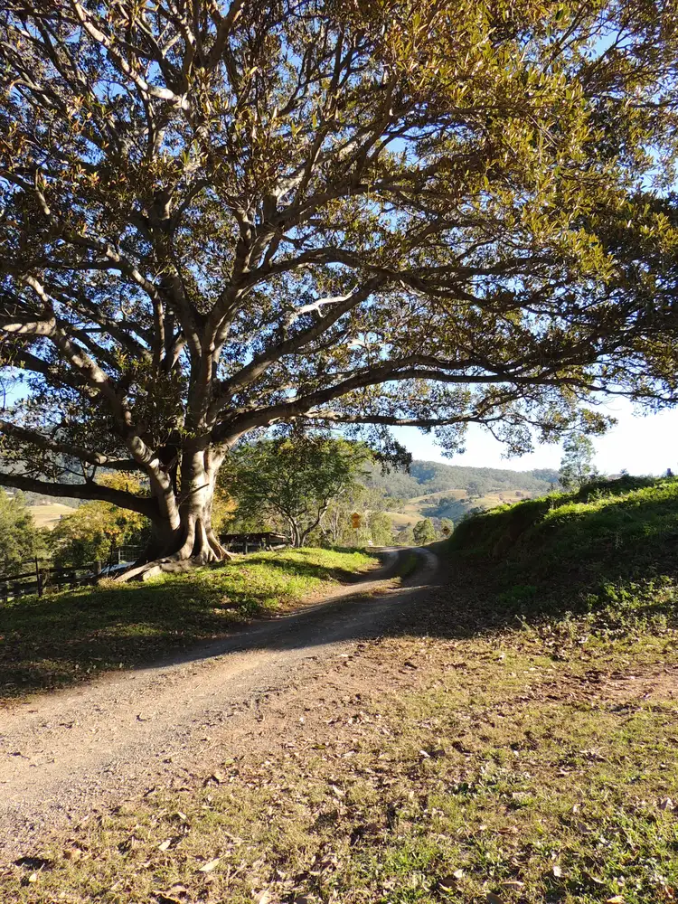 Seventh view of Homely rural property listing, 362 Cundle Flat Road, Gloucester NSW 2422