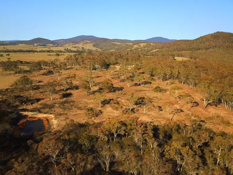 Sixth view of Homely rural property listing, 507 Little Bombay Road, Braidwood NSW 2622