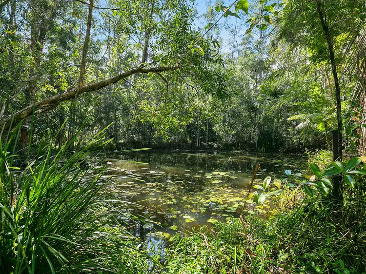 Fifth view of Homely house listing, 826 Cootharaba Road, Cootharaba QLD 4565