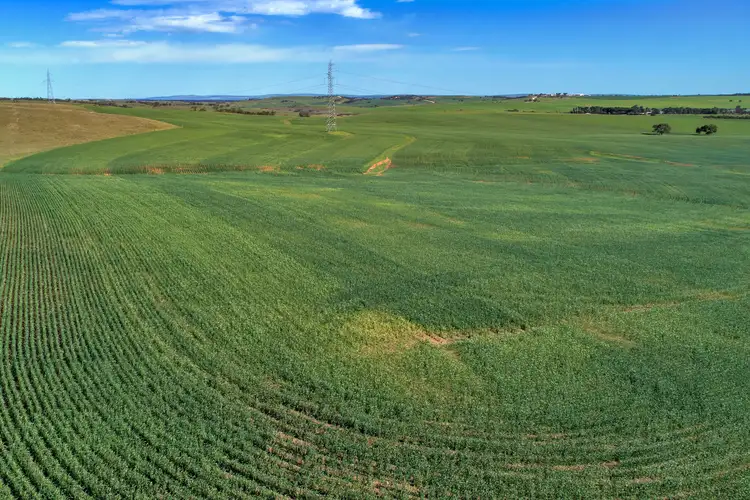 Sixth view of Homely rural property listing, "Willow Ponds" Georgetown-Huddleston Road, Georgetown SA 5472