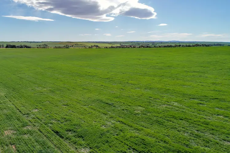 Seventh view of Homely rural property listing, "Willow Ponds" Georgetown-Huddleston Road, Georgetown SA 5472