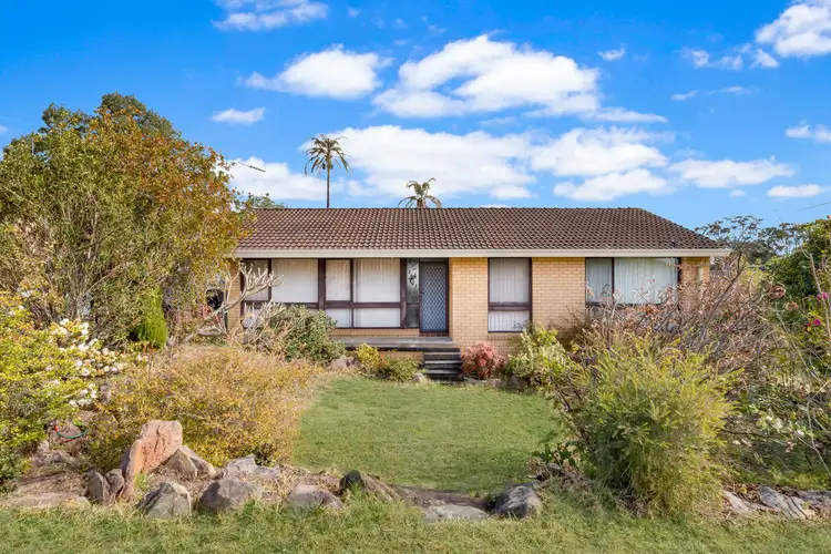 Main view of Homely house listing, 19 Bingara Road, Macquarie Fields NSW 2564