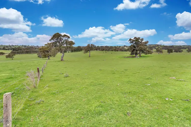 Seventh view of Homely rural property listing, 1021 Terlinga Road, Tungkillo SA 5236