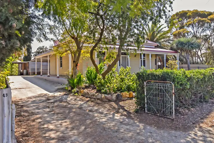 Third view of Homely house listing, 43 Borrow Street, Freeling SA 5372