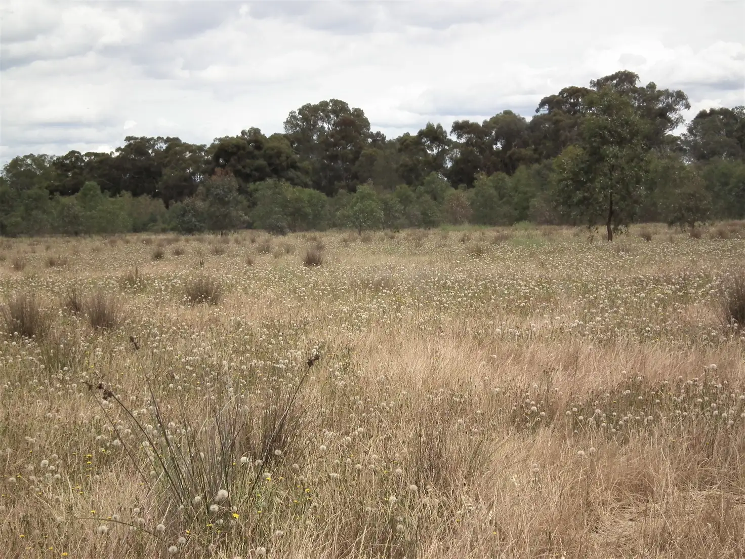 Main view of Homely rural property listing, 22 Wormangal-Wahring Road, Nagambie VIC 3608