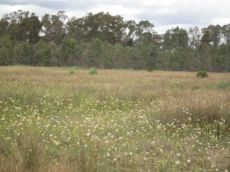 Second view of Homely rural property listing, 22 Wormangal-Wahring Road, Nagambie VIC 3608